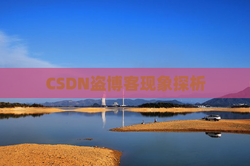 CSDN盗博客现象探析 CSDN盗博客现象探析